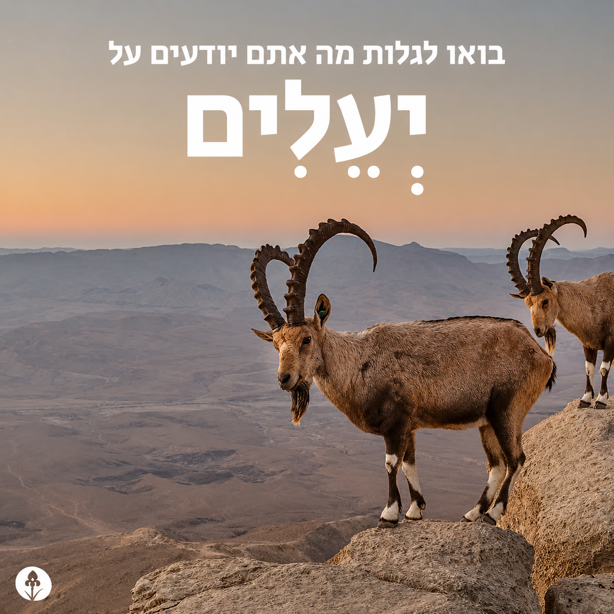החברה להגנת הטבע